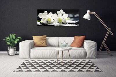 Obraz na plátně Kameny Květiny Orchidej