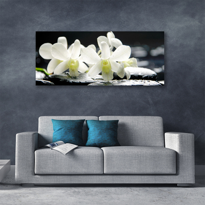 Obraz na plátně Kameny Květiny Orchidej
