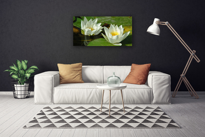 Obraz na plátně Květiny Rostliny Příroda