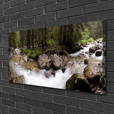Obraz na plátně Les Řeka Vodopády