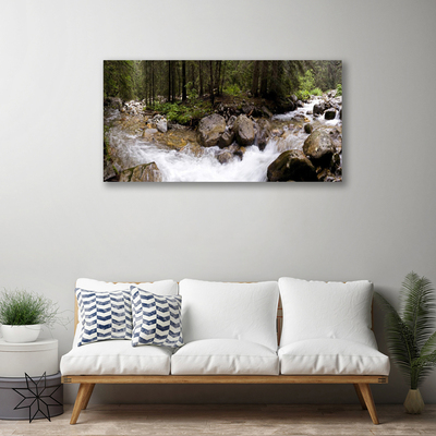 Obraz na plátně Les Řeka Vodopády