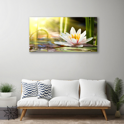 Obraz na plátně Květ Vodní Lilie