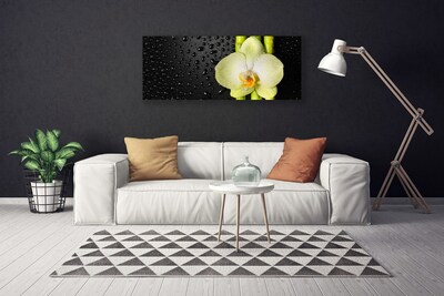 Obraz na plátně Bambus Květ Orchidej