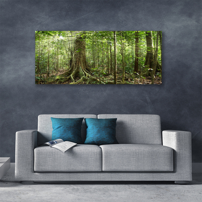 Obraz na plátně Les Příroda Džungle