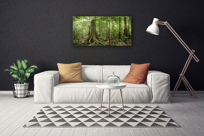Obraz na plátně Les Příroda Džungle