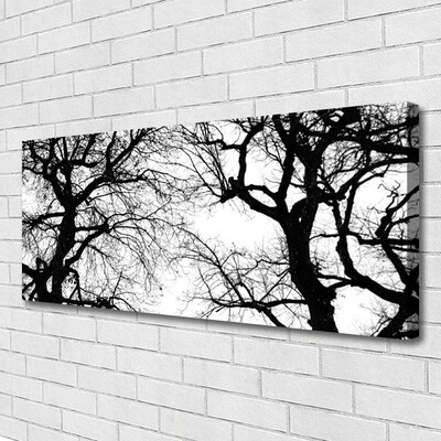 Obraz na plátně Stromy Příroda Černobílý
