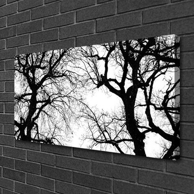 Obraz na plátně Stromy Příroda Černobílý