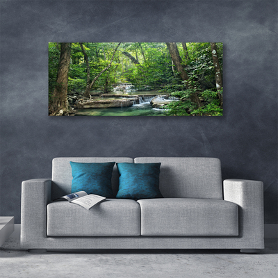 Obraz na plátně Lesní Les Příroda