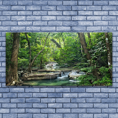 Obraz na plátně Lesní Les Příroda