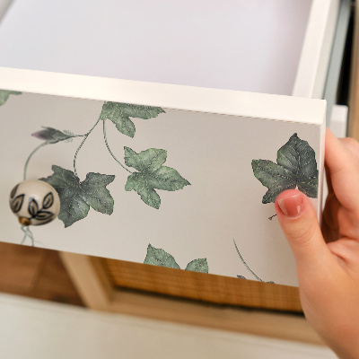 Fólie na nábytek Listy břečťanu