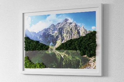 Živý obraz z mechu Tatry Morskie Oko