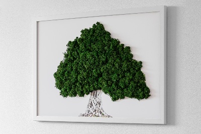 Mechový obraz na stěnu Strom s kořeny na bílém pozadí