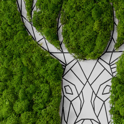Živý obraz z mechu Geometrický jelen