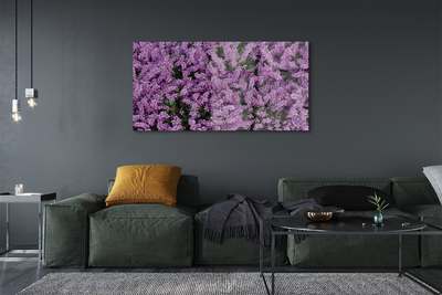 Obraz na skle fialové květy