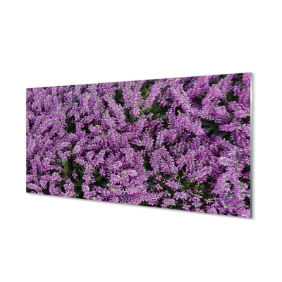 Obraz na skle fialové květy
