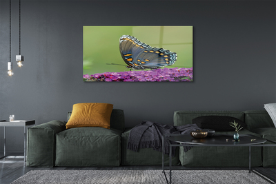 Obraz na skle Barevný motýl na květiny