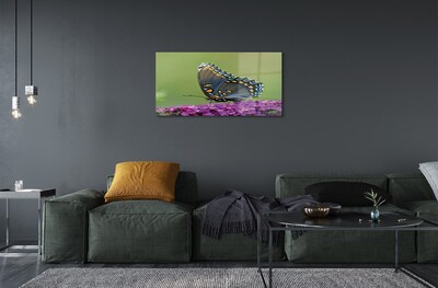 Obraz na skle Barevný motýl na květiny