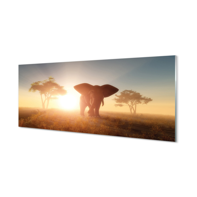 Obraz na skle Sloní strom na východ