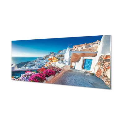 Obraz na skle Budovy Řecko mořské květiny