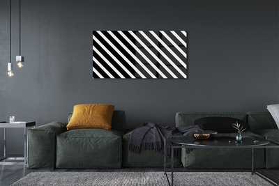 Obraz na skle zebra pruhy