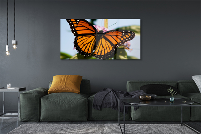 Obraz na skle barevný motýl