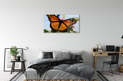 Obraz na skle barevný motýl