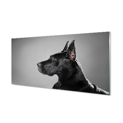 Obraz na skle Černý pes