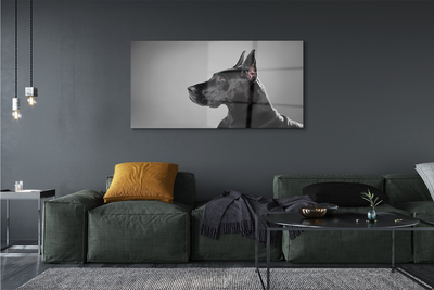 Obraz na skle Černý pes