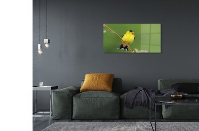 Obraz na skle žlutý papoušek