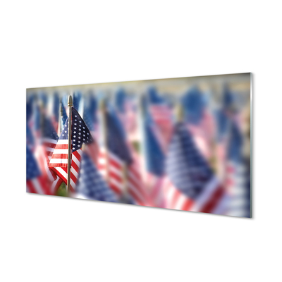 Obraz na skle Vlajky Spojených států
