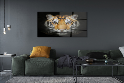 Obraz na skle Tygr