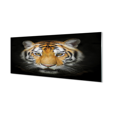 Obraz na skle Tygr