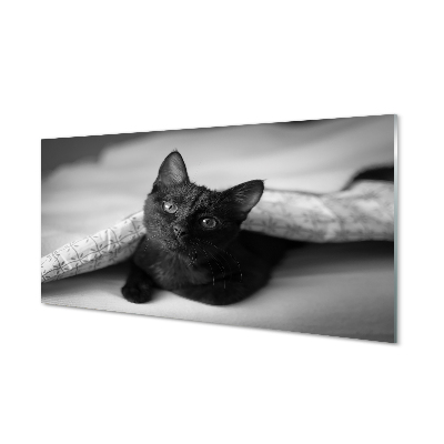 Obraz na skle Kočka pod přikrývkou