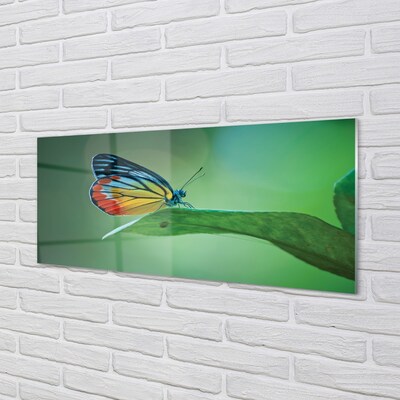 Obraz na skle Barevný motýl křídlo
