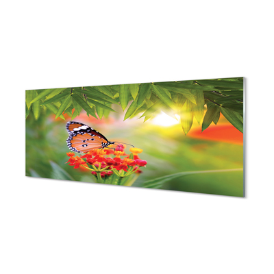 Obraz na skle Barevný motýl květiny