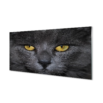 Obraz na skle Černá kočka