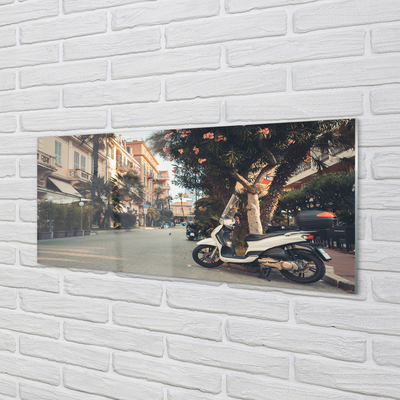 Obraz na skle městské Motocykly palmového léta