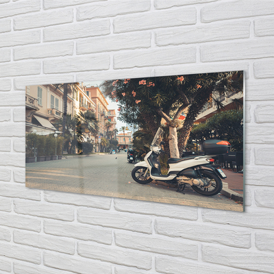 Obraz na skle městské Motocykly palmového léta