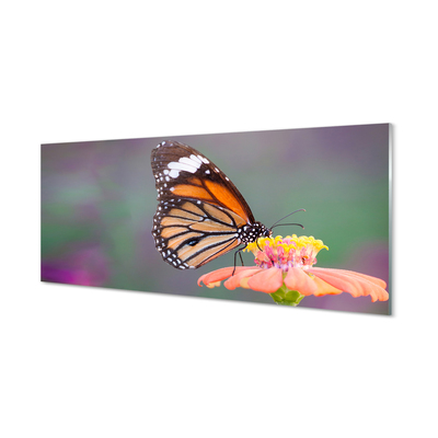 Obraz na skle Barevný motýl květina
