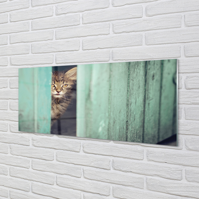Obraz na skle Zaglądający cat
