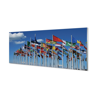 Obraz na skle různé vlajky