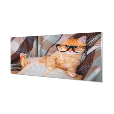 Obraz na skle Čtenář cat