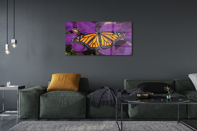 Obraz na skle Barevný motýl květiny