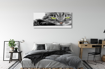 Obraz na skle Šedočerná kočka