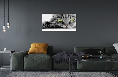 Obraz na skle Šedočerná kočka