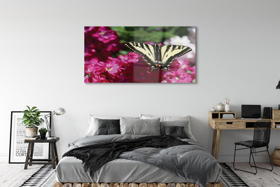 Obraz na skle květiny motýl