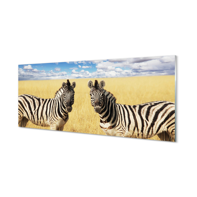 Obraz na skle zebra box