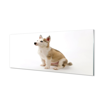 Obraz na skle Sedící malého psa
