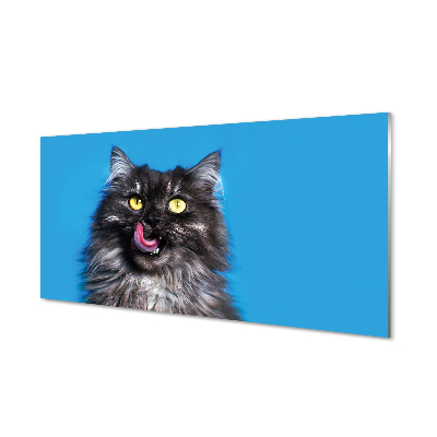 Obraz na skle Oblizujący kočka