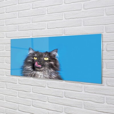 Obraz na skle Oblizujący kočka